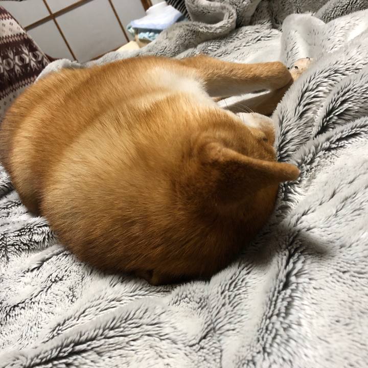 C3fa1f5f 80da 44ef 8488 d95e5034199c 1552100312292