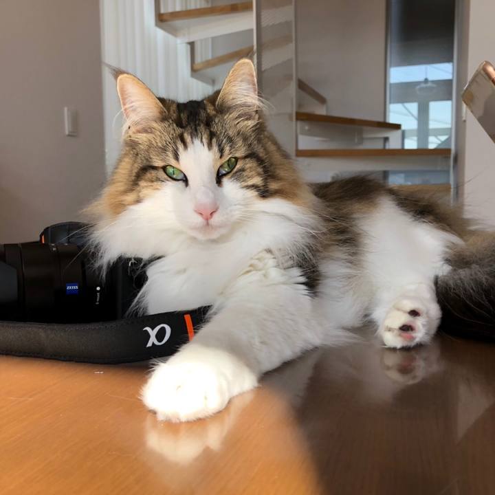 C3fa3f2d 39dd 47a1 9601 db46c0aa2de1 1557362494438