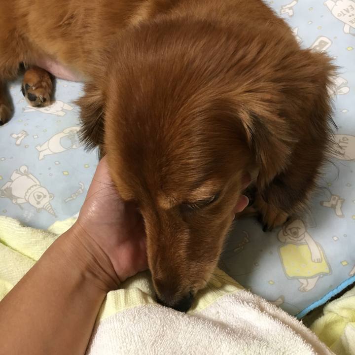 C3fa43c7 bcd6 4deb a910 2cfaf80296c5 1533562894258