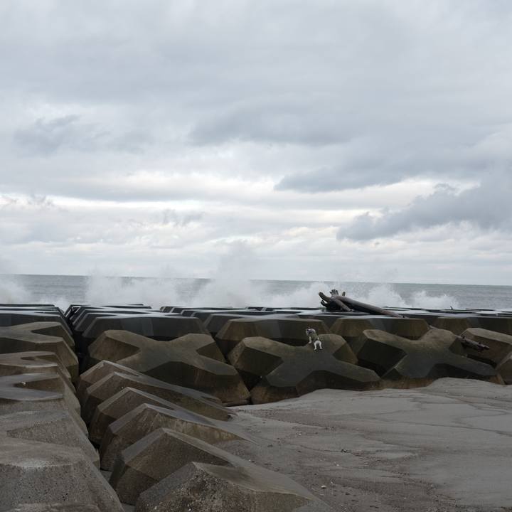 C3fa79a9 b861 4b68 a3ae 004c3c0e9afb 1606607612858