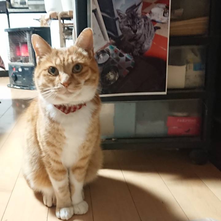 C3fa8fe9 a828 4d24 bb63 0ea06b6f112a 1607632199993