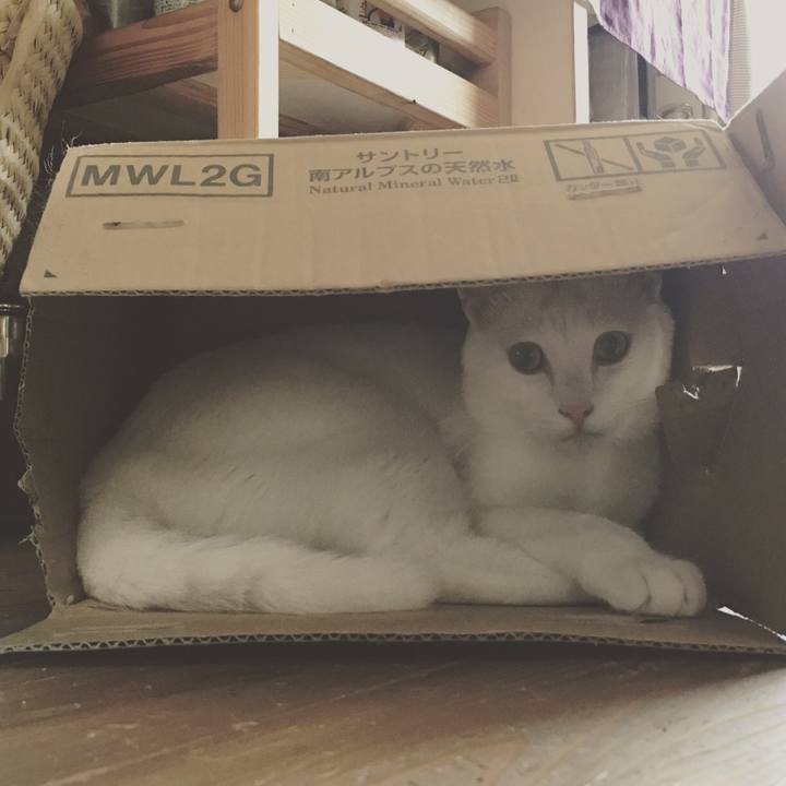 C3fadca0 df6e 4b9f 9ce8 f1430630282a 1532318584954