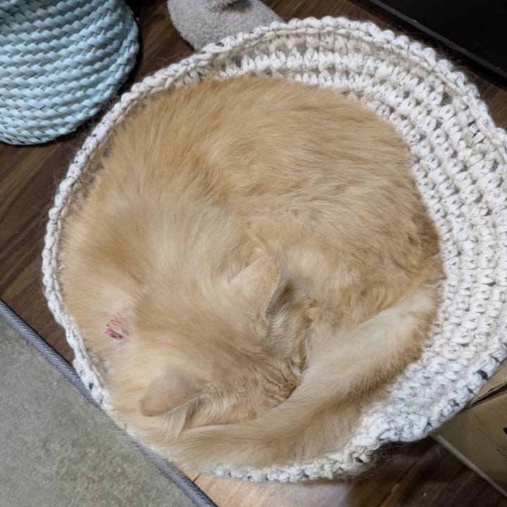 C3fb0a44 3249 453d aa23 ded4d16523bd 1760715483932