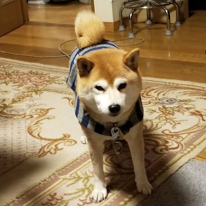 C3fb17a3 d998 4377 9aec fb6cfd32f1eb 1578221012584