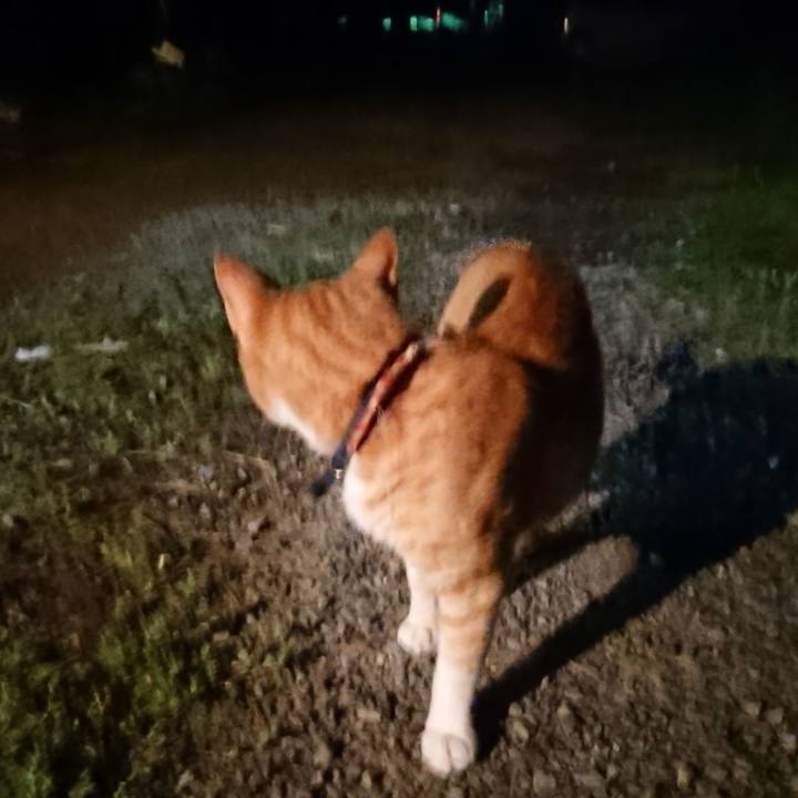 C3fb6870 7665 4f20 bfa9 b49ddc9dee0e 1563796170465