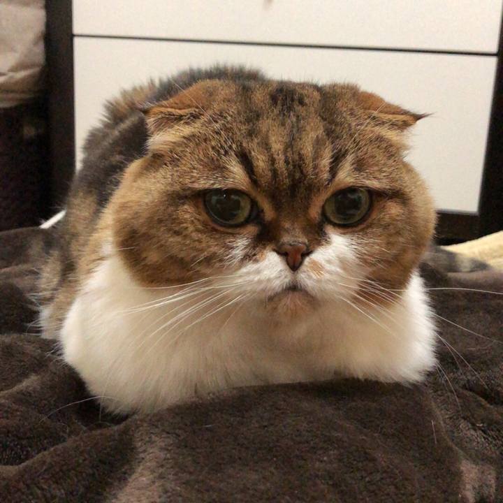 C3fbad92 cb13 405c adaa 386e59c97c19 1544017626259