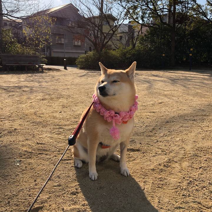 C3fbf2ec 70f3 4f12 bb64 246aace0dd39 1548139533615