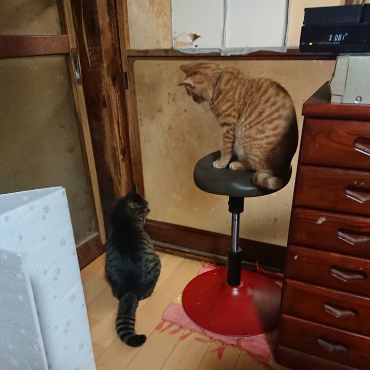 C3fc27ee 8298 4c34 bc8b cdde99861b0c 1641720198605