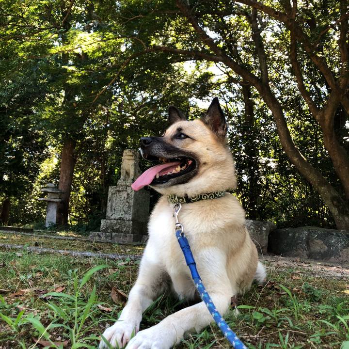 C3fc3725 830f 4504 b668 65e046ff349b 1597580084359