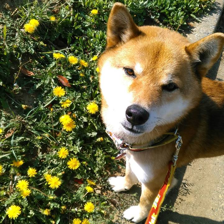 C3fc55ac 6268 464a 91dc b154a53304ba 1523321824777