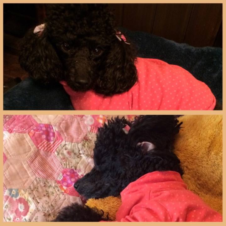 C3fc674e 647e 4601 b37f 15ab83c14721 1556941792907