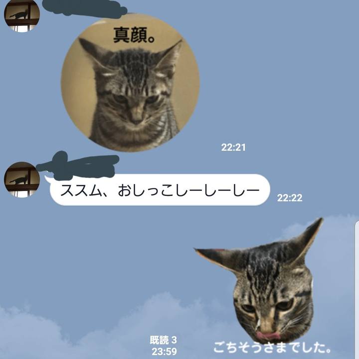 C3fcc1cc c42d 4584 9f85 9116c201ad7b 1542989804794