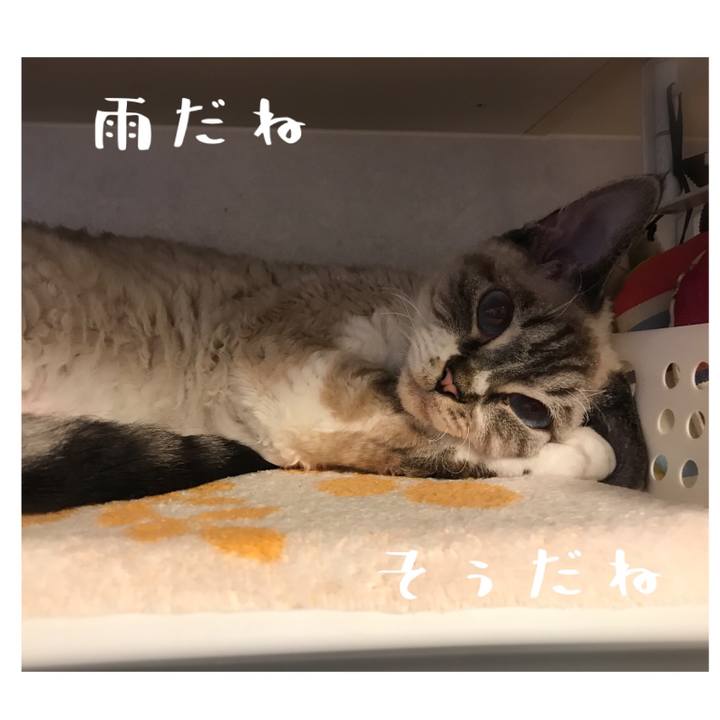 C3fcc7c6 2d5c 49f5 af2f 57f0d47c2a47 1599882580654