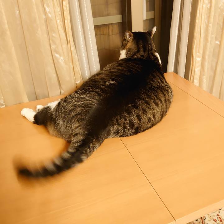 C3fce972 72ed 4045 aed6 6e701abe48e8 1597580023905