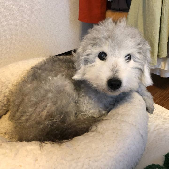 C3fd2e04 fffc 4bc2 a96e c68dcbce655e 1594944401722