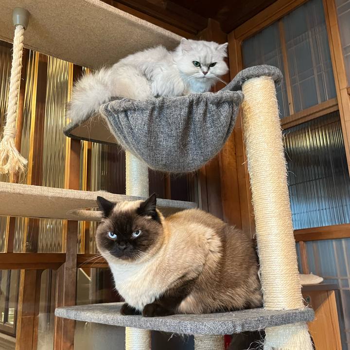 C3fd328b 93e0 48fa 92f5 f28f2987b727 1655166603979