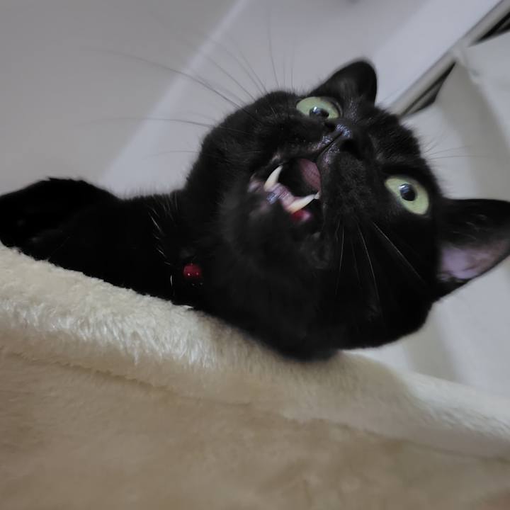 C3fd4945 183a 4328 b7a8 3df175b6b1f3 1739620254309