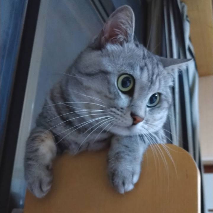 C3fd56ec c5c8 408c b038 0f2dd4296aa4 1599301563094