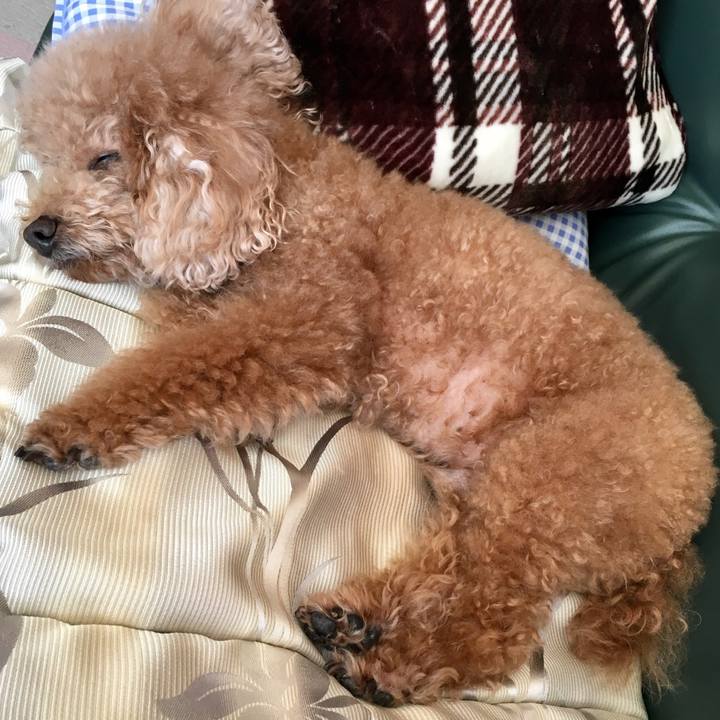 C3fd905b e61d 491a baee 24019446ef92 1539258635523