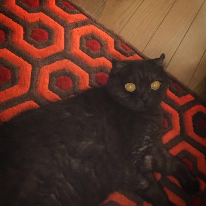 C3fd9a1b 78a6 4503 b4b8 183413eb3d6e 1561646408143