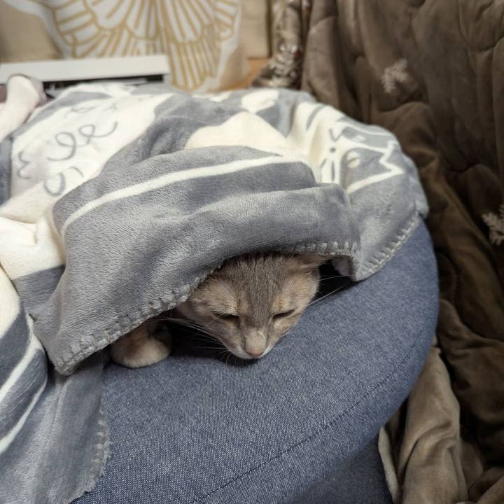 C3fdc1ab ccd4 4ace bb76 134d94df235a 1767945791356