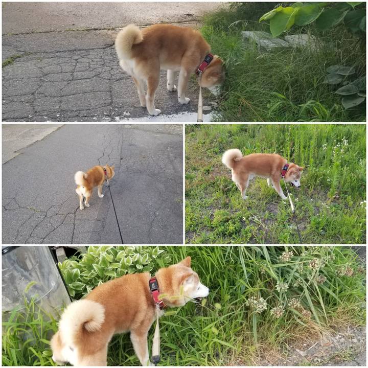 C3fe2635 4ade 4f18 a81b a46a19b072aa 1751881629924