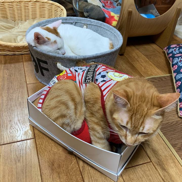 C3fe3a6d b245 4b24 8aeb 030c3afdd415 1583756041451