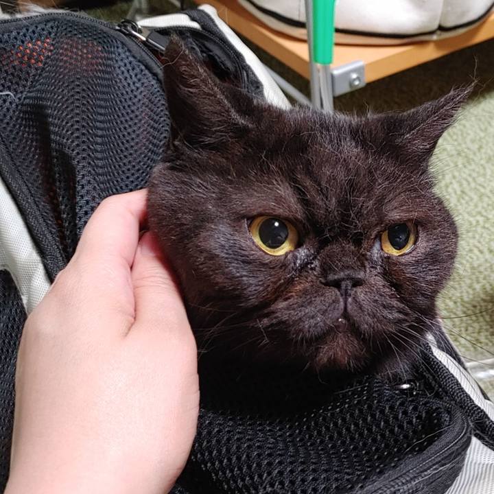 C3fe766a 7349 4e22 b660 cd02513b4cef 1629117448669