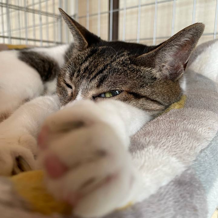 C3fe7ca0 0f85 4baf a685 dab12f94a5d0 1632966279158