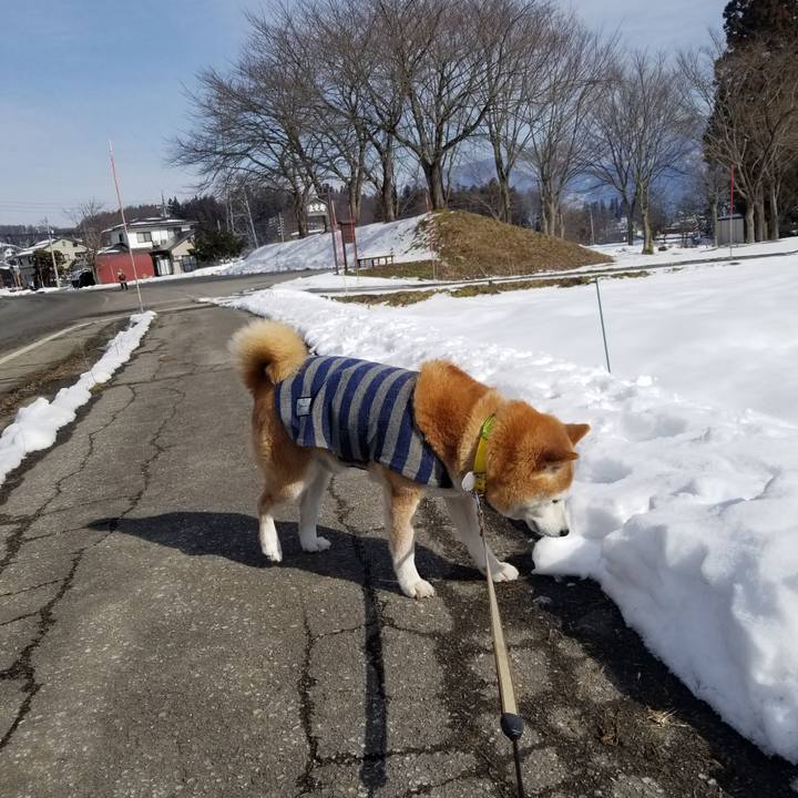 C3fe8fb6 be17 4fd1 90a7 aa8b7d12221a 1674443312107