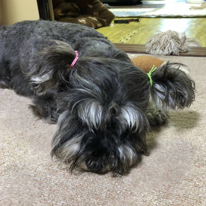 C3fea7c3 5b44 4fcf bcb8 000065e14646 1531531428215