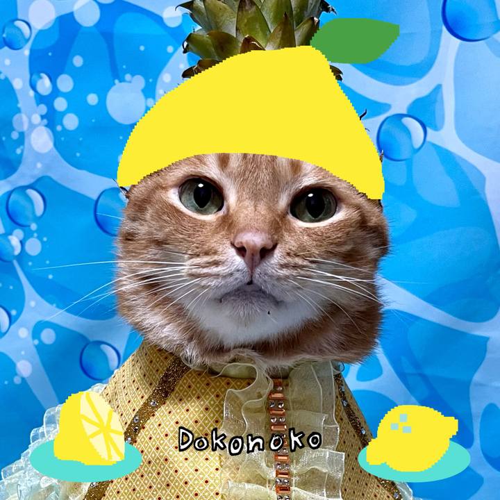 C3febdea a98e 42f2 b889 7f53880b3670 1741061944840