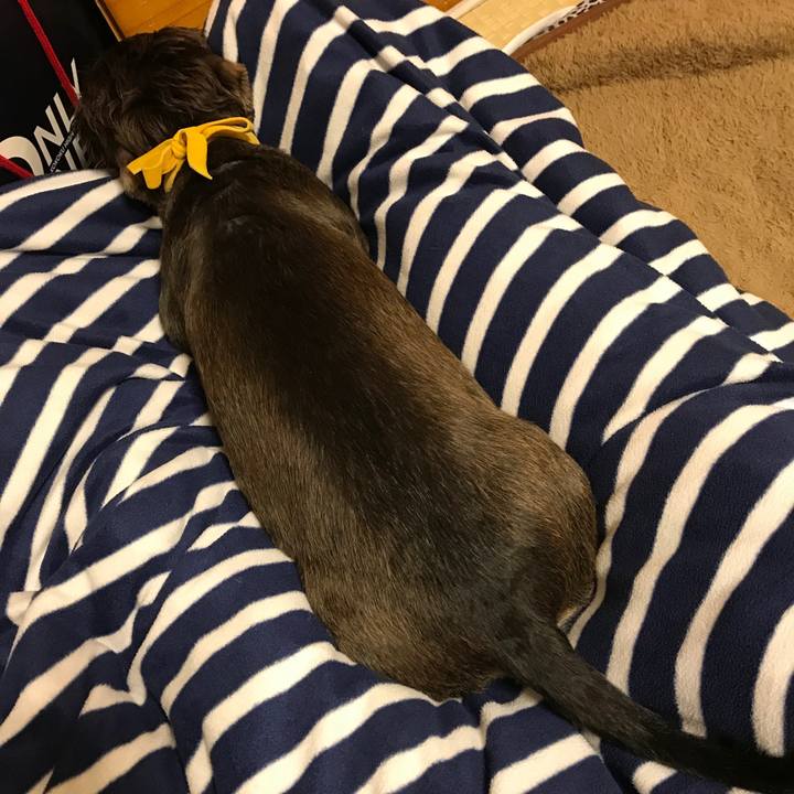 C3febe70 3f28 484c ac58 751fc327ff80 1542208101945