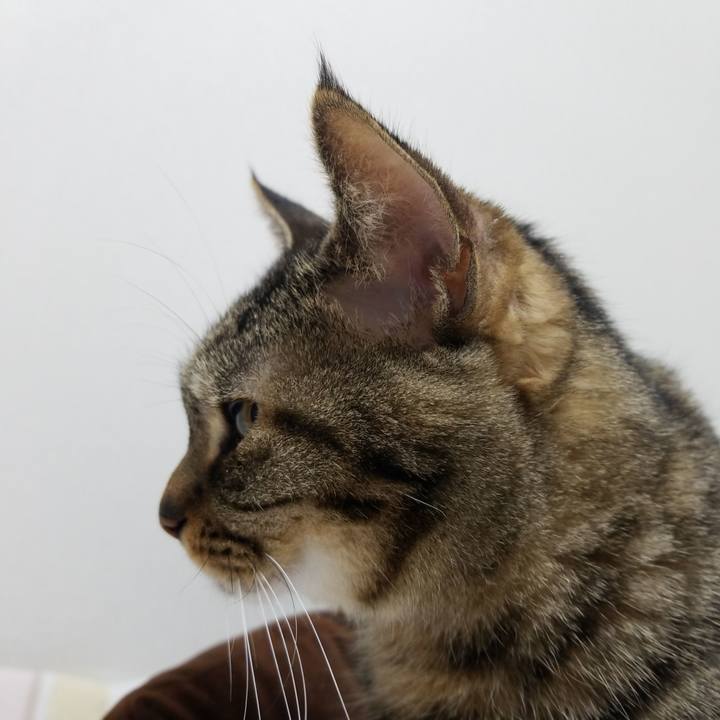 C3fec79e 61f5 402c 97dd d37907740018 1585171246549