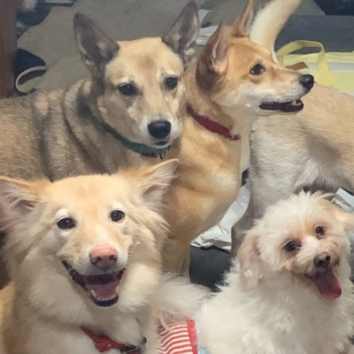 C3ff144e dfef 45a3 8066 2aac9e5027a3 1665374413655