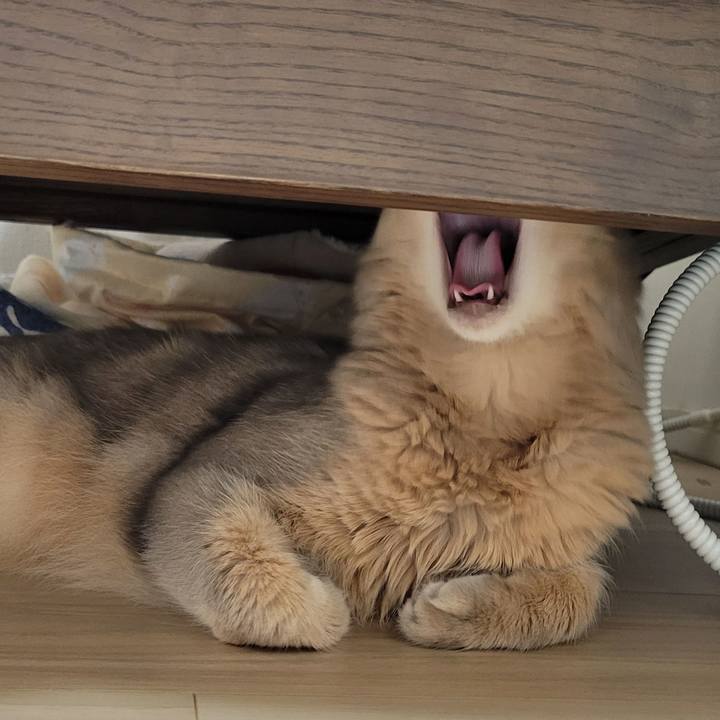 C3ff644a c733 4a34 8b9c 825c97f2bacb 1666249505013