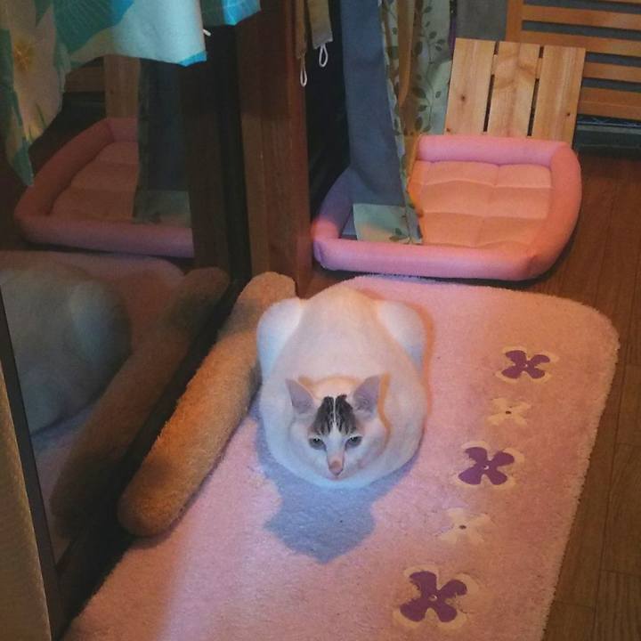 C3ff6f2b 0af0 44ec 97d3 db19da455d40 1571145102101