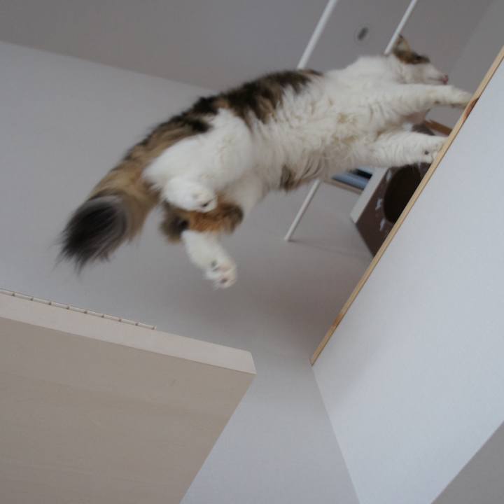 C3ffb8cf eb71 48e1 a3b7 836df52cc4c2 1515987871287