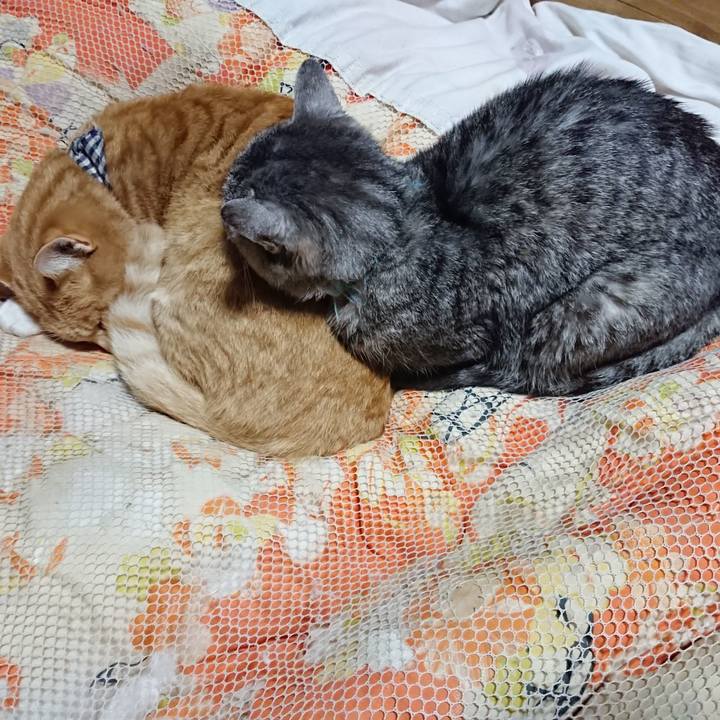 C40095d7 c24d 4dbd 8595 bac4fde8f5e9 1574338876560