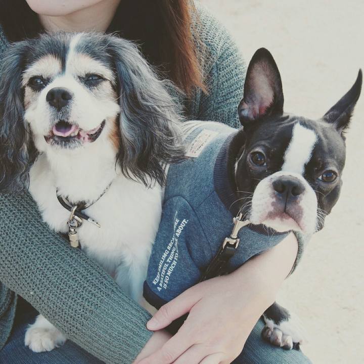 C400da7b 6a09 4485 90c8 20a22c82a44a 1510479541327