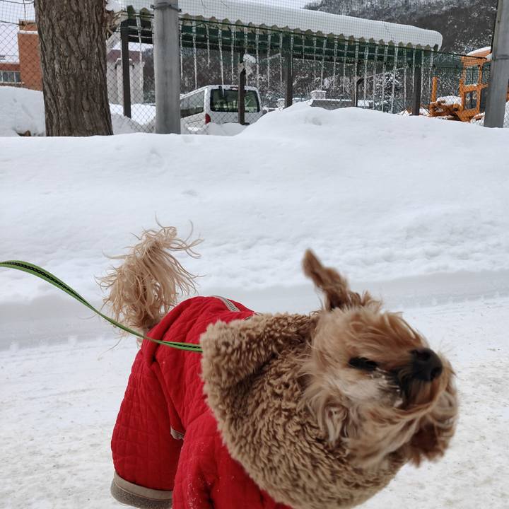 C400e770 9d3e 487b b23a f5cbda56d0bd 1581211277689