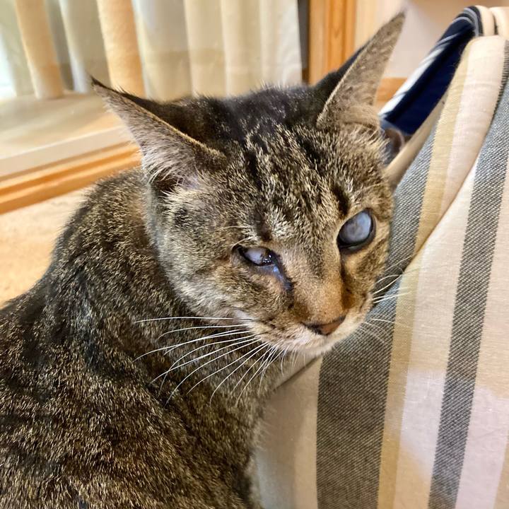 C400f973 7433 42dd 836a 429bc717a8a1 1643755954012