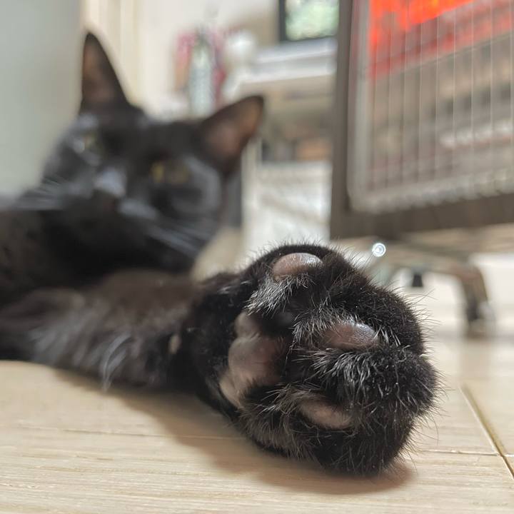 C400ffe6 8b2c 4ec4 84a6 0fdf10436e0a 1674988836215