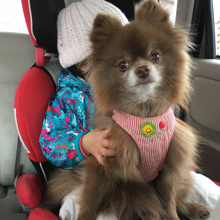 C4011d05 30cf 4614 af85 e56abc987218 1522547001674