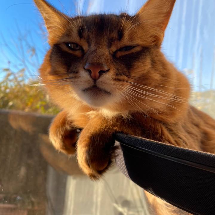 C4011d15 bc99 4794 b88f 9e61f1de9ff2 1640905925969