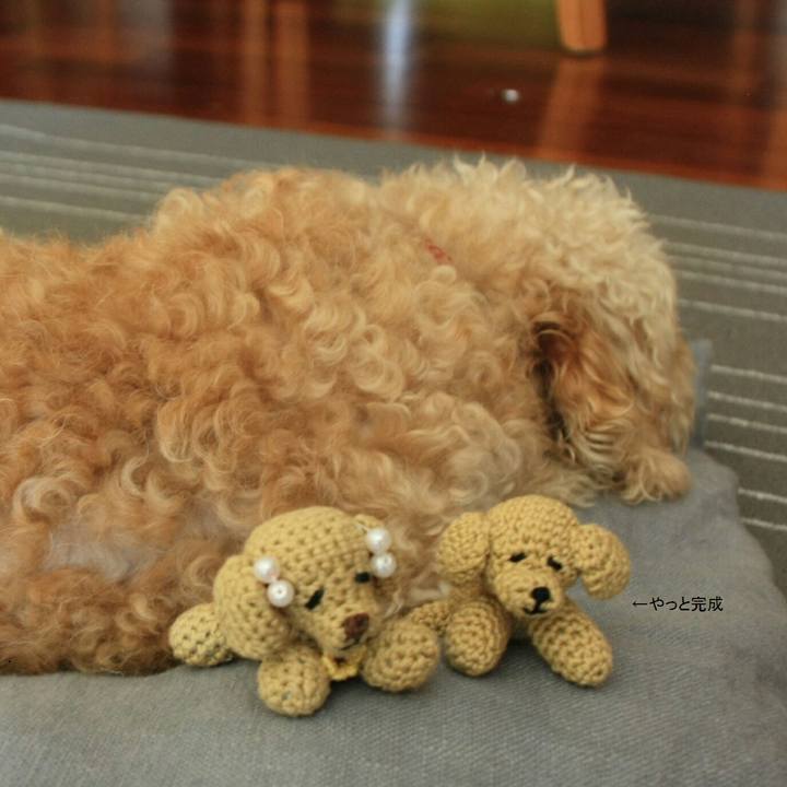 C4014f31 f78b 48b3 8515 8848600ab495 1535911045219