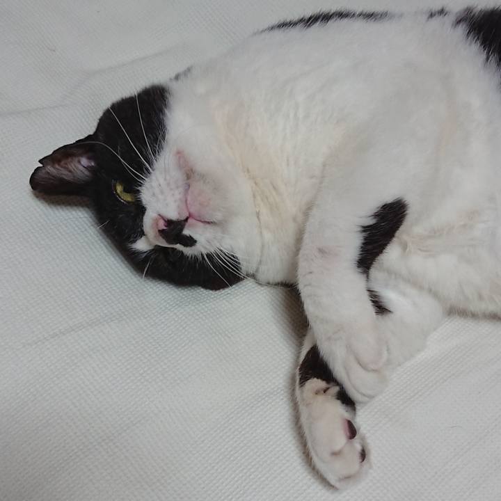 C401605d f520 4c23 9a65 0516da787023 1596166516364