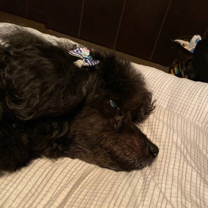 C40167c2 cf2b 49ca 8410 e1fa9459231b 1594967548110