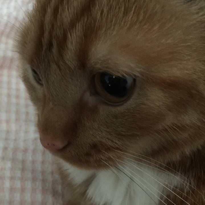 C401ad1d 0d07 48b8 a728 75ce7250638a 1560560510421