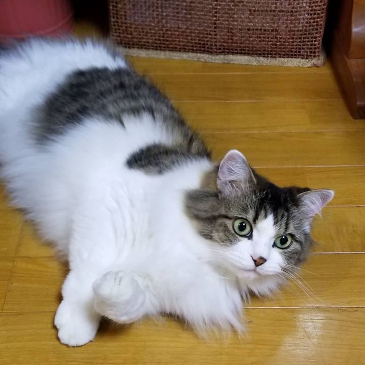 C401d5f9 4c89 4ac5 ad58 a3faa7c20bff 1573042407713